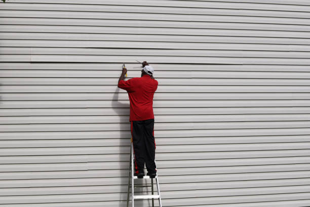 Best Aluminum Siding Installation  in Spring Hill, KS